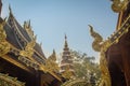 Beautiful Thai architecture Buddhist temple at Wat Ram Poeng (Tapotaram) temple, Chiang Mai, Thailand. Wat Rampoeng is one of famo