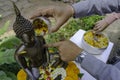 Beautiful Thai cultural. Man pouring water mixed with colourful petal flowers and perfume onto a Buddha image on Songkran festival Royalty Free Stock Photo