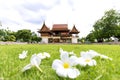 Beautiful Thai style house in a beautiful garden and lawn with azalea flowers