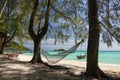 Beautiful Thailand travel island Koh Lipe white sand beach with rope cradle at pine tree and sunny blue sky landscape background