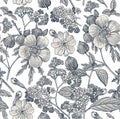 Seamless pattern. Realistic isolated flowers. Vintage background heliotrope hibiscus primavera hibisc Drawing engraving Vector Royalty Free Stock Photo