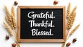 Grateful thankful blessed thanksgiving autumn decor fall season holiday celebration message board design Royalty Free Stock Photo