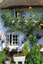 Beautiful thatched cottage with garden