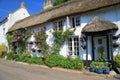 Beautiful thatched cottage with garden Royalty Free Stock Photo