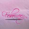 the month February in chrome effect pink theme