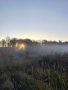 Beautiful thick fog sunrise Autumn Fall landscape over fields with treetops visible through fog Royalty Free Stock Photo