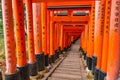 Beautiful Thousand Torii walkway in Fushima Inari shrine in Kyoto Japan