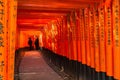 Beautiful Thousand Torii walkway in Fushima Inari Taisha shrine in Kyoto Japan