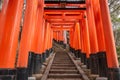 Beautiful Thousand Torii walkway in Fushima Inari Taisha shrine in Kyoto Japan