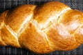 Golden baked Challah bread