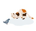 Beautiful three color cat in hunting pose watches to pigeon eating grain. Vector illustration in simple cartoon flat