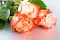 beautiful three orange rose flowers on light background with drops, close up