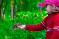 Beautiful three-year-old girl in a red sweater feeds pine nuts with her hands on a titmouse