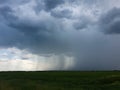 A beautiful thundercloud with rain hovered over a field of wheat. A terrible black cloud on the eve of a tornado and a natural