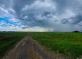 A beautiful thundercloud with rain hovered over a field of wheat. A terrible black cloud on the eve of a tornado and a natural Royalty Free Stock Photo