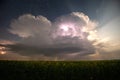 Beautiful thunderstorm with clouds, lightning and moon over a field with sunflowers at night Royalty Free Stock Photo