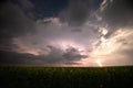 Beautiful thunderstorm with clouds, lightning and moon over a field with sunflowers at night Royalty Free Stock Photo