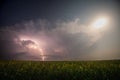 Beautiful thunderstorm with clouds, lightning and moon over a field with sunflowers at night Royalty Free Stock Photo