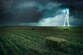 Beautiful thunderstorm over green field. Lightning striking from dark cloudy sky Royalty Free Stock Photo