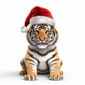 Beautiful Tiger In Santa Hat - 3d Rendering