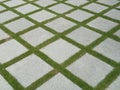 Beautiful tiles in garden Royalty Free Stock Photo