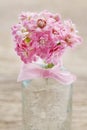 Beautiful tiny bouquet of pink kalanchoe blossfeldiana flowers Royalty Free Stock Photo