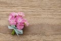Beautiful tiny bouquet of pink kalanchoe blossfeldiana flowers o Royalty Free Stock Photo