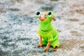 Beautiful Tiny Chihuahua Dog Dressed Up In Frog Royalty Free Stock Photo