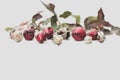 Festive bouquet of pink buds on the background of old white wooden boards Royalty Free Stock Photo