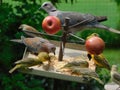 Beautiful tiny yellow finches, grey doves and brown small birds, eating seeds from a bird feeder with red apples in the spiked Royalty Free Stock Photo
