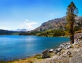 Tioga Pass Lake Sierra Nevada Mountains Royalty Free Stock Photo