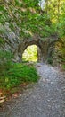 Tisitei gorge tunnel, in Vrancea county Romania Royalty Free Stock Photo