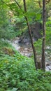 Tisitei gorge, in Vrancea county Romania