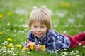 Beautiful toddler blond child, cute boy, lying in the grass in daisy and dandelions filed Royalty Free Stock Photo