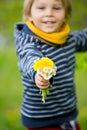 Beautiful toddler blond child, cute boy, lying in the grass in daisy and dandelions filed Royalty Free Stock Photo