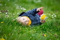 Beautiful toddler blond child, cute boy, lying in the grass in daisy and dandelions filed Royalty Free Stock Photo