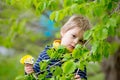 Beautiful toddler blond child, cute boy, lying in the grass Royalty Free Stock Photo