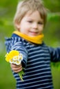 Beautiful toddler blond child, cute boy, lying in the grass Royalty Free Stock Photo