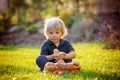 Beautiful toddler boy, eating sweet bread and eggs in garden on sunset, little chicks running around Royalty Free Stock Photo