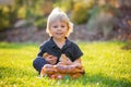 Beautiful toddler boy, eating sweet bread and eggs in garden on sunset, little chicks running around Royalty Free Stock Photo