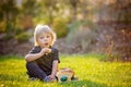 Beautiful toddler boy, eating sweet bread and eggs in garden on sunset, little chicks running around Royalty Free Stock Photo