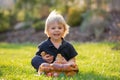 Beautiful toddler boy, eating sweet bread and eggs in garden on sunset, little chicks running around