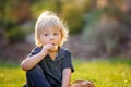 Beautiful toddler boy, eating sweet bread and eggs in garden on sunset, little chicks running around