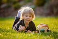 Beautiful toddler boy, eating sweet bread and eggs in garden on sunset, little chicks running around Royalty Free Stock Photo