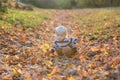 Beautiful toddler boy, walking on rural path on sunset, backlit Royalty Free Stock Photo