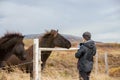 Beautiful toddler child with dad, fondle horses in the nature, early in the morning on a windy autumn day