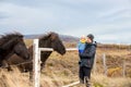 Beautiful toddler child with dad, fondle horses in the nature, early in the morning on a windy autumn day