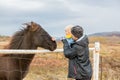 Beautiful toddler child with dad, fondle horses in the nature, early in the morning on a windy autumn day