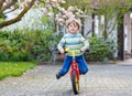 Beautiful toddler child driving his first bike or laufrad Royalty Free Stock Photo