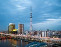 Beautiful Tokyo cityscape with Tokyo Skytree at late evening, Japan.